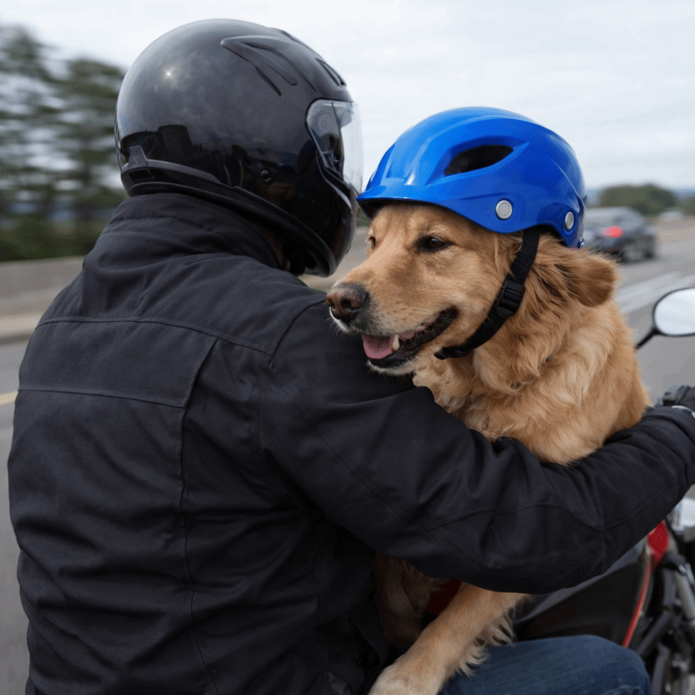 Pet Headgear Adjustable Dog He - Motorcycle Gear Dogs recensione e prezzo