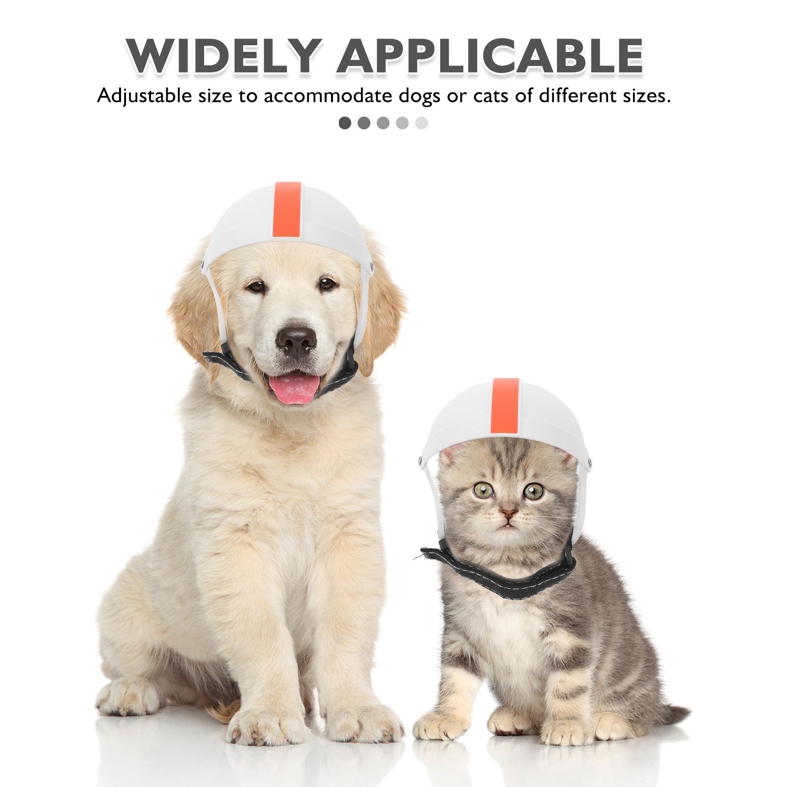 Small Medium Dog Cat Motorcycl - Motorcycle Gear Dogs recensione e prezzo