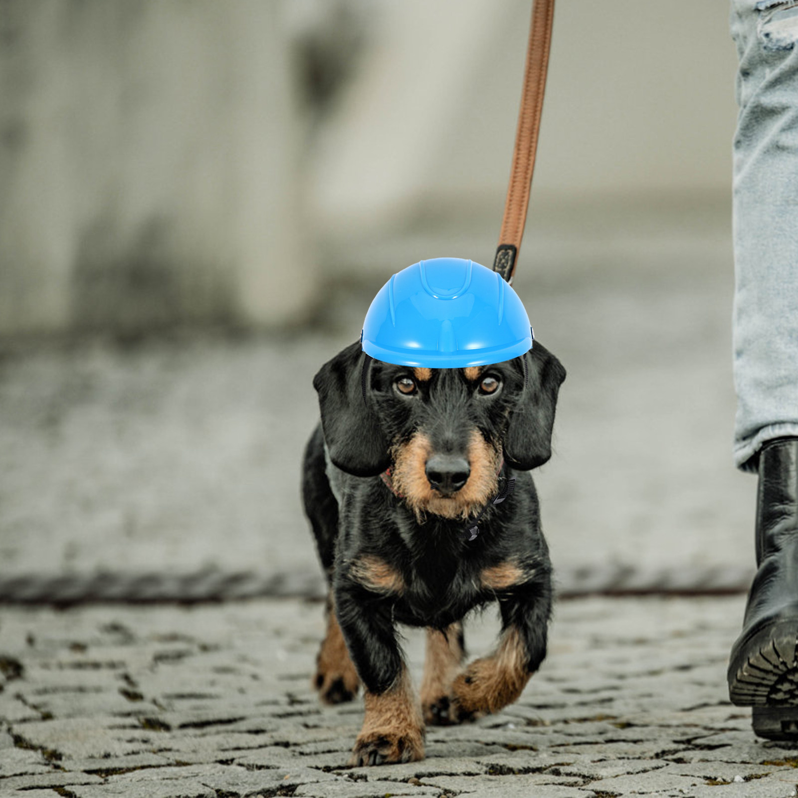 Small Dog Adjustable Pet Safet - Motorcycle Gear Dogs recensione e prezzo